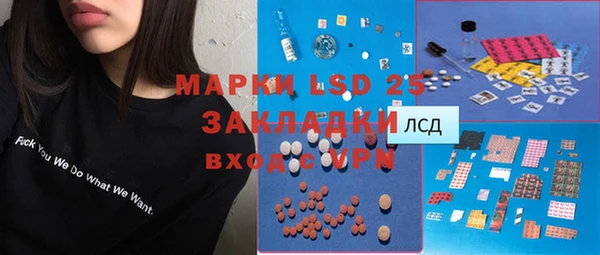 прущий лед Алзамай